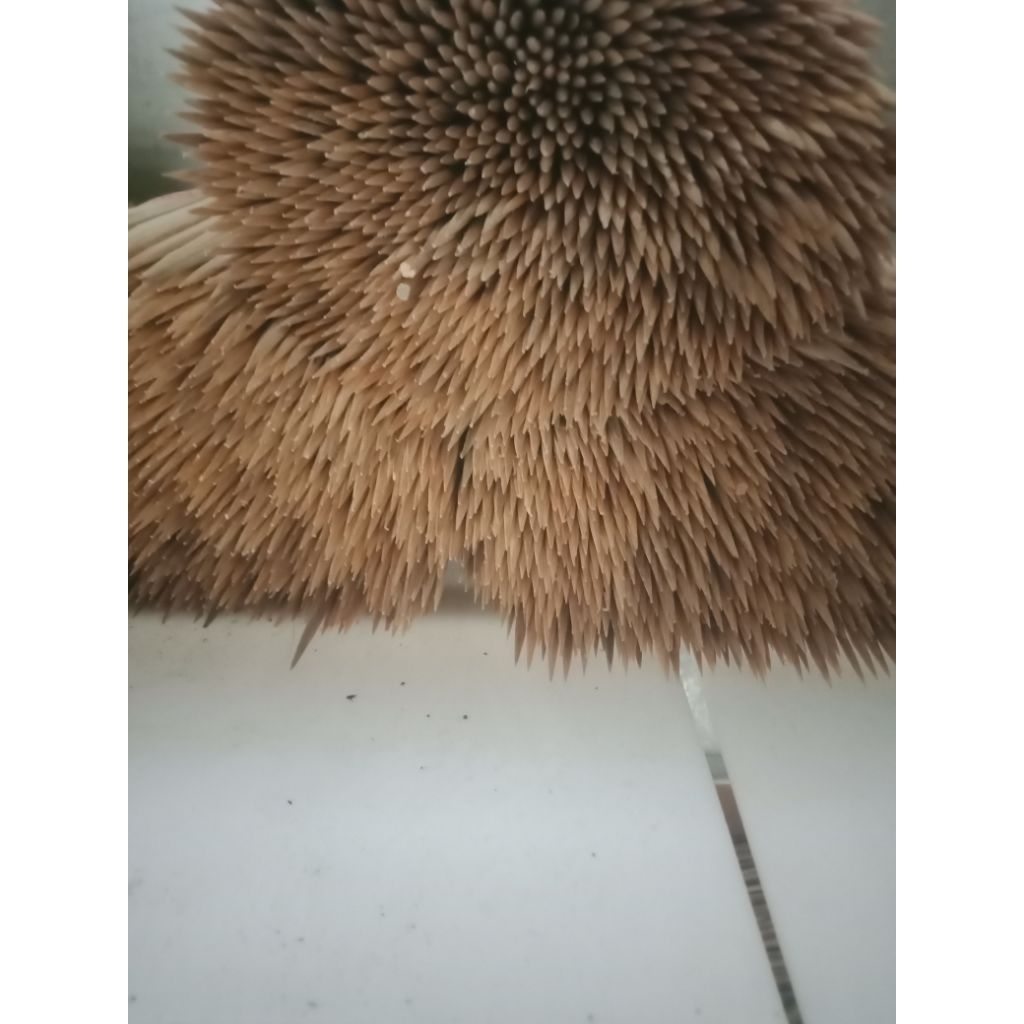 Jual Tusuk sate bulat, runcing | Shopee Indonesia