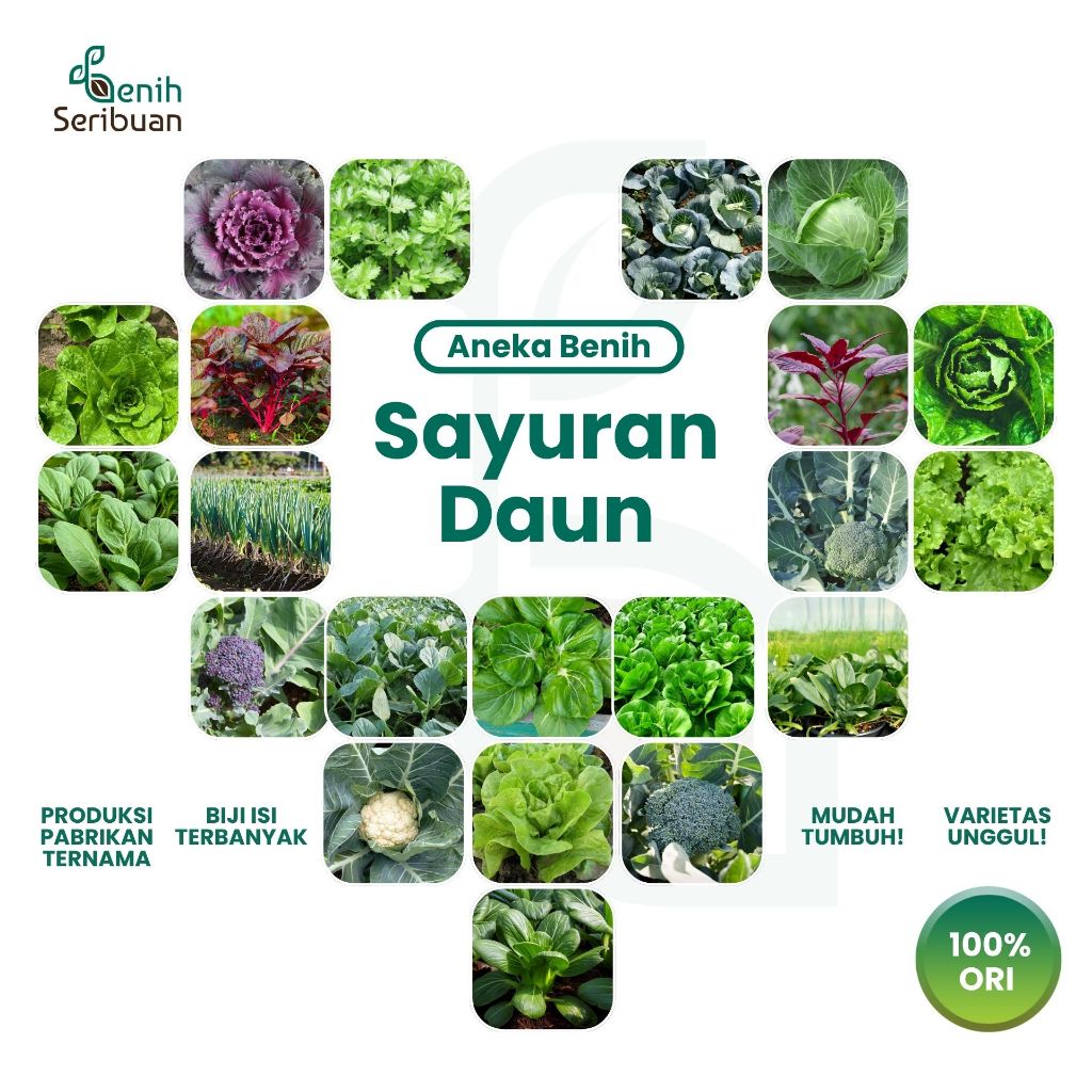 BENIH SERIBUAN - Aneka Bibit Sayuran Daun Sayur Hidroponik Varian Unggulan