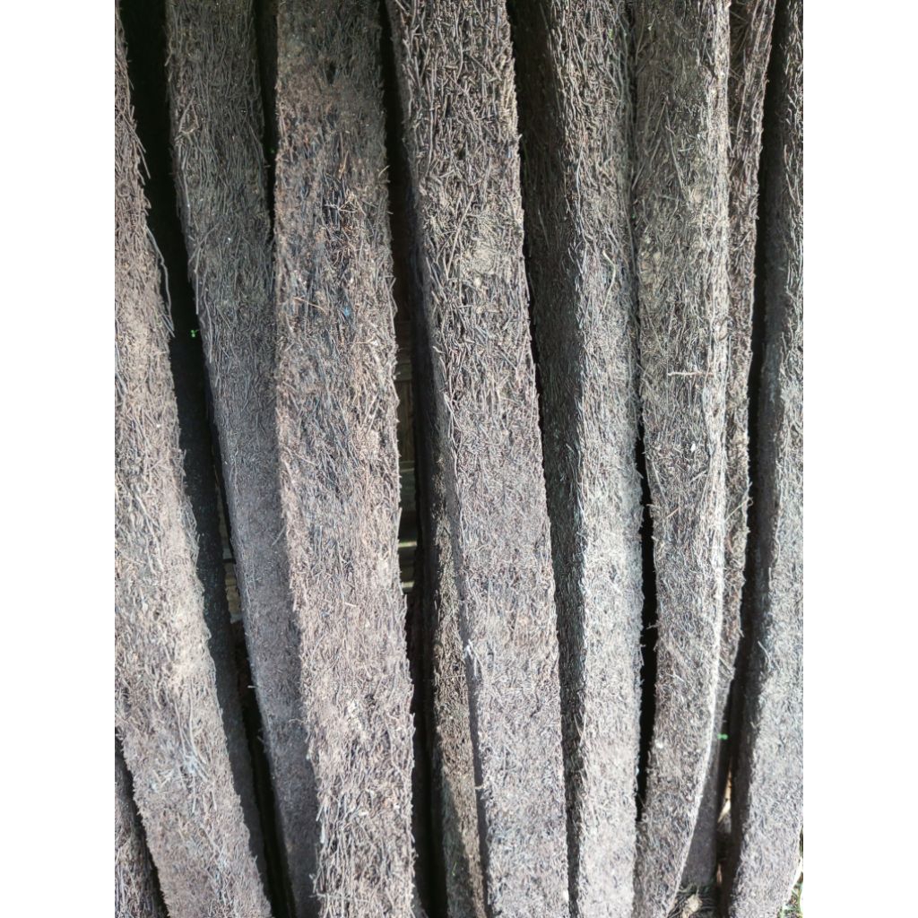 Jual Batang pakis persegi 100 cm diameter 5 cm media rambat tanaman ...