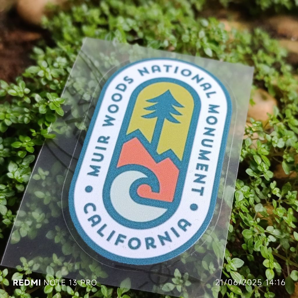 Jual Stiker Kalcer Camper Jungle Wood | Shopee Indonesia