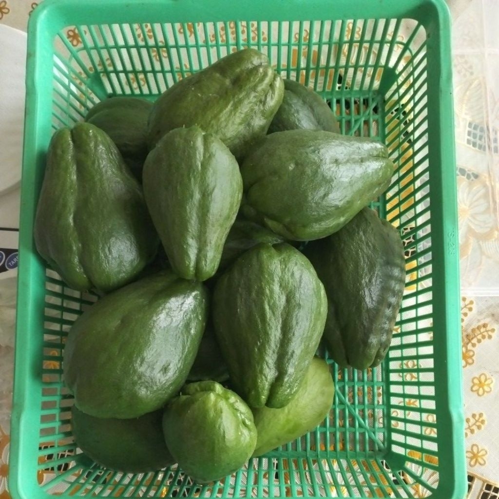Jual Labu siam hijau 1 kg | Shopee Indonesia