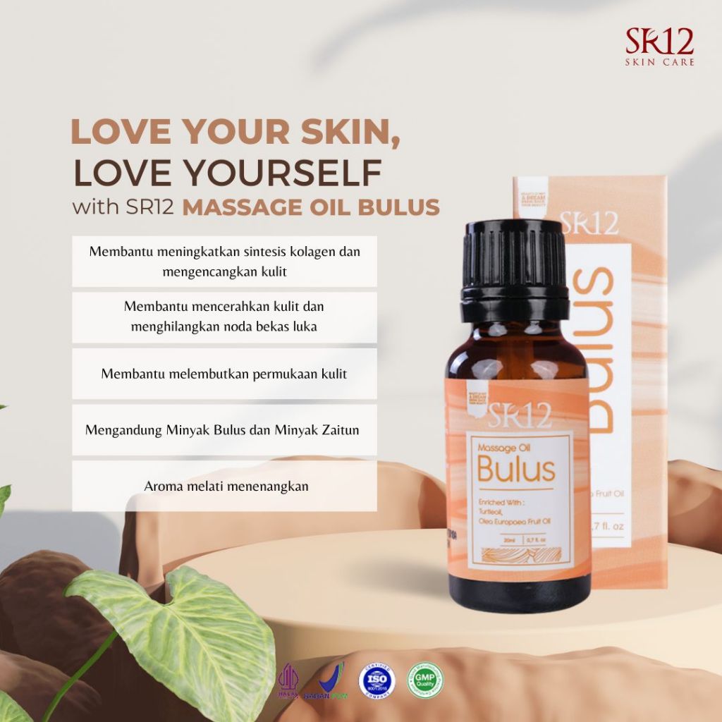Jual Minyak Bulus / Massage Bulus Oil 20ml | Shopee Indonesia