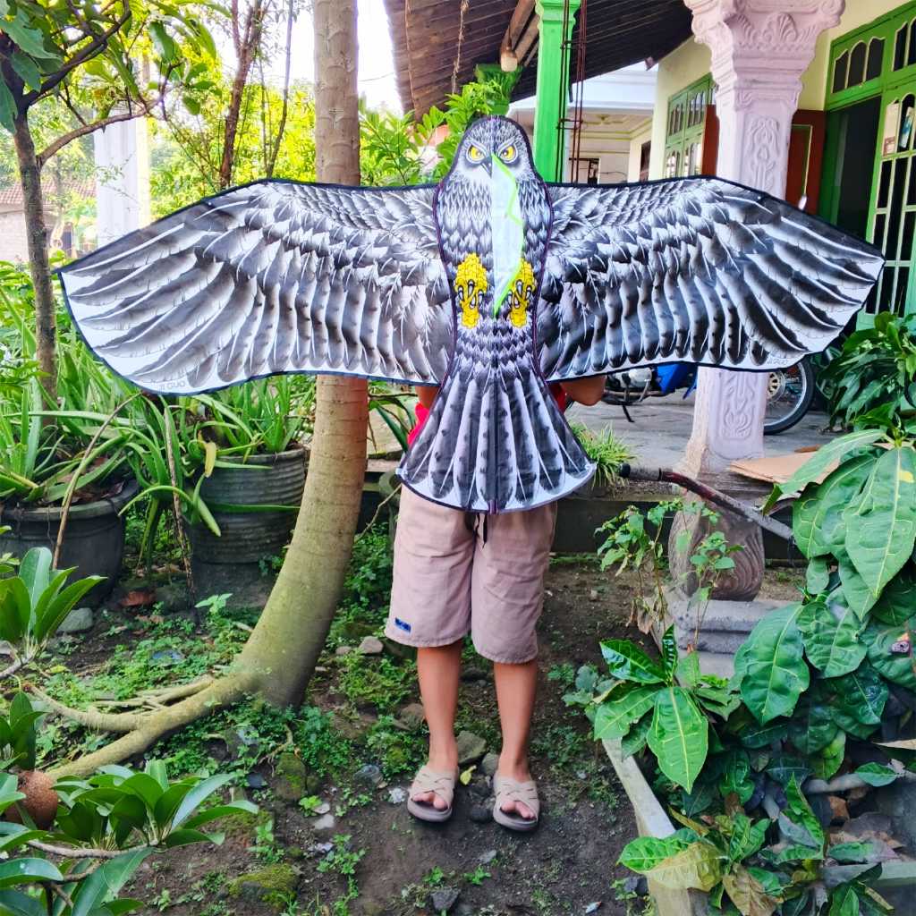 Jual Rame Layangan Burung Elang Jumbo Ukuran 2,4 Meter Layang-Layang ...