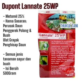 Yosh qizlar bilan xususiy porno video Tana sanati erotikasi