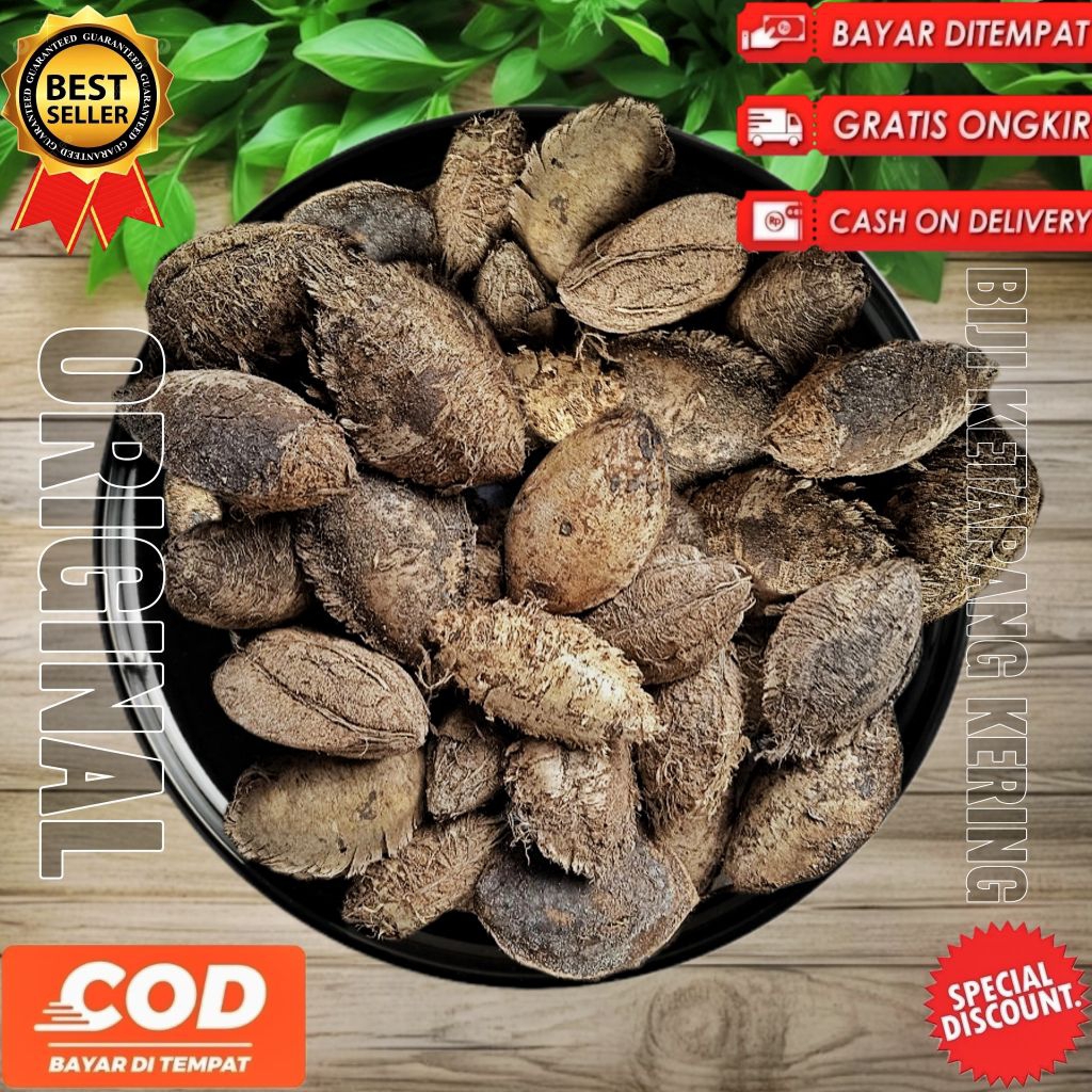 Jual Buah biji ketapang kering 1Kg biji ketapang kering 1Kg Buah ...