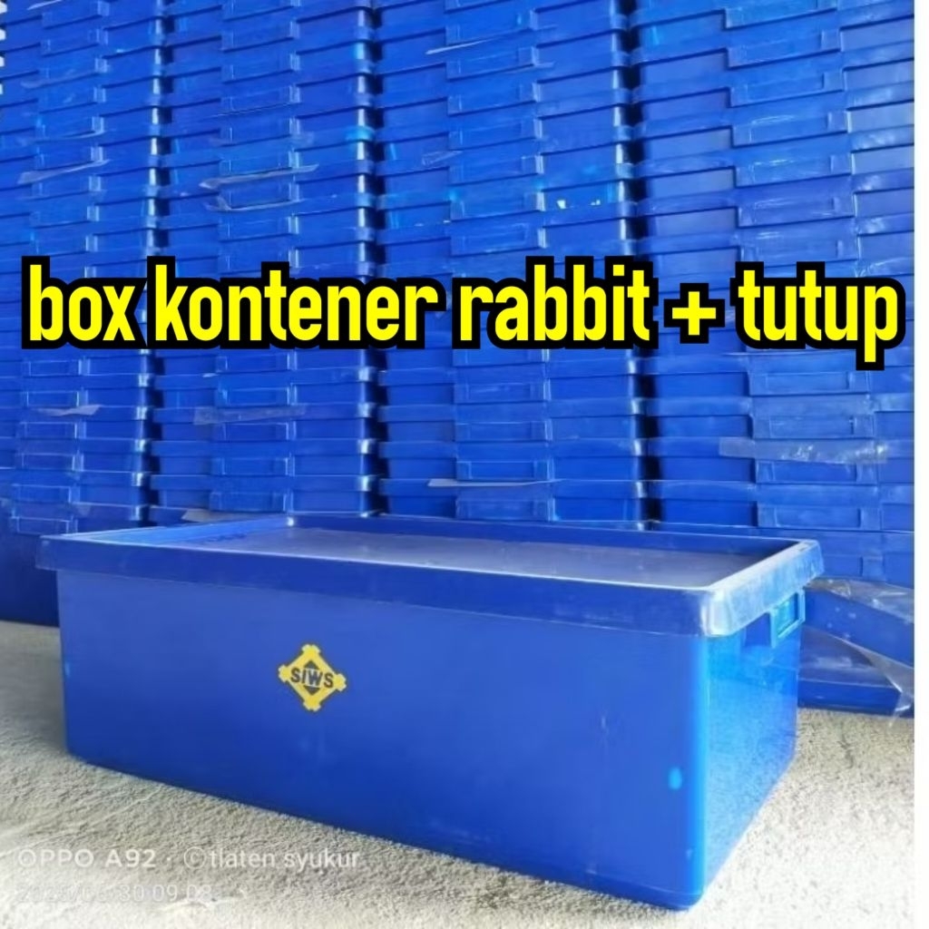 Jual 1 paket (isi 2 -10 box rabbit+ tutup) hemat ongkir | Shopee Indonesia
