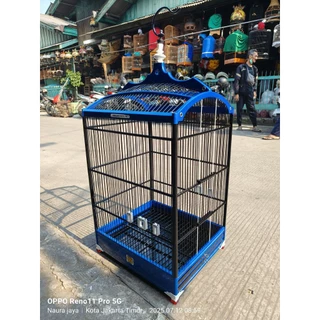 Rus pornosi: Bobo nabirasini sikadi