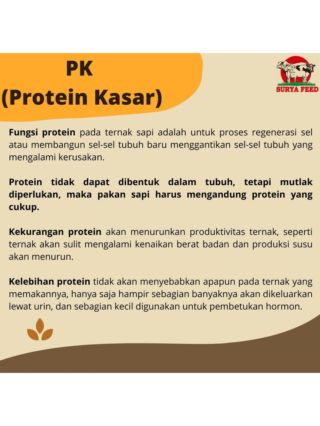 Jual Konsentrat Sapi/ Kambing/ Domba Ruminansia - Kemasan 10Kg | Shopee ...