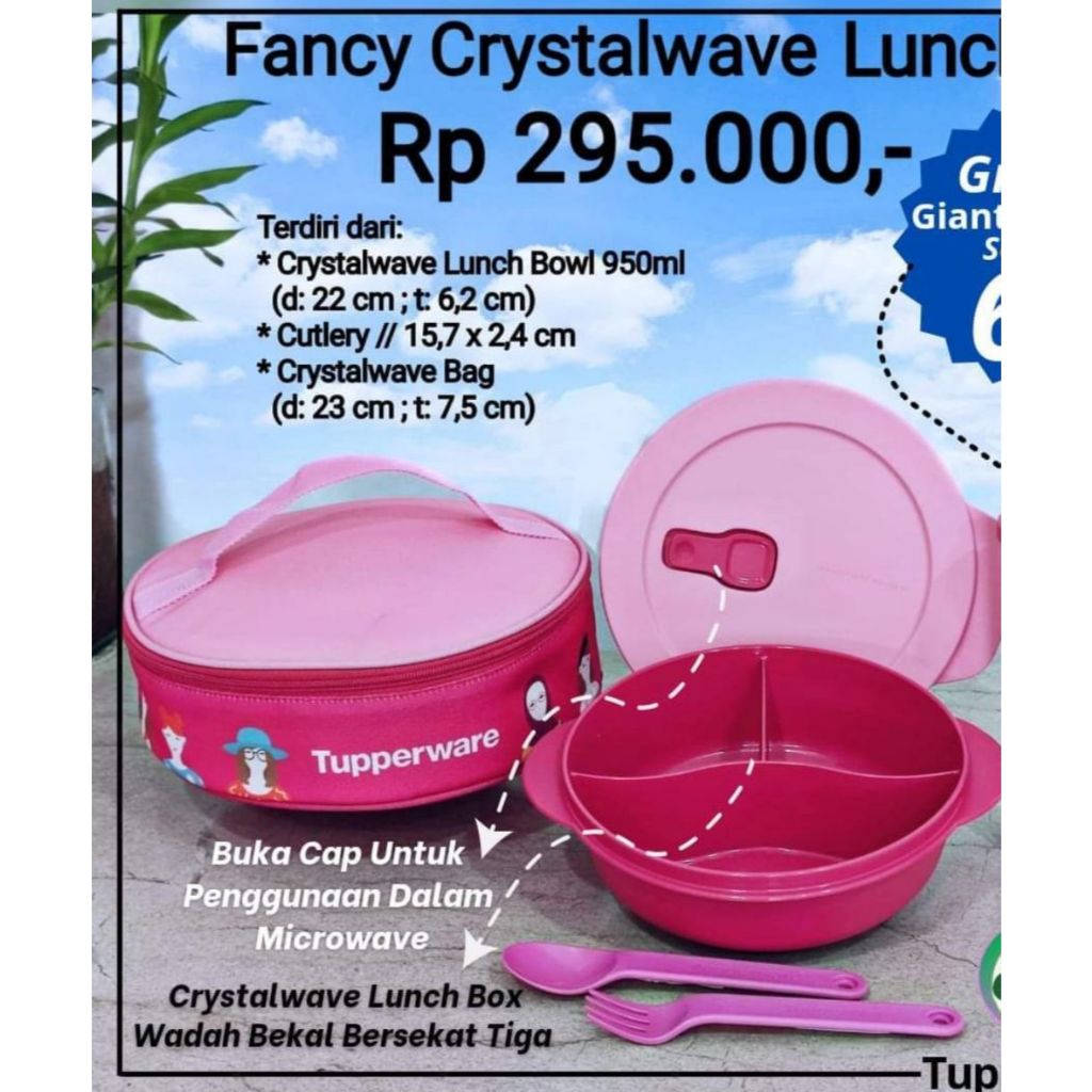 Tupperware Classic Insulated Bag Tupperware Tiffin Bag Only Jual