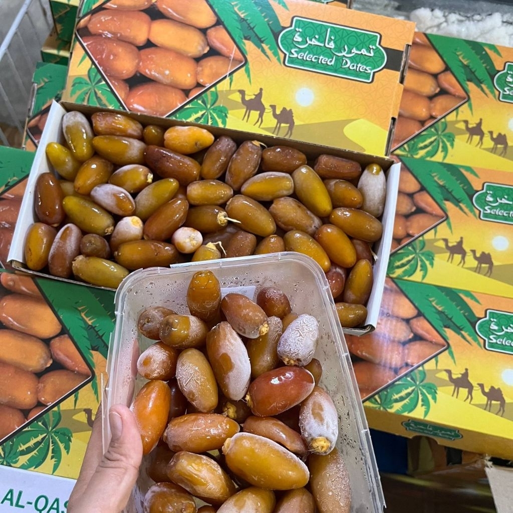 Jual Kurma Muda Ruthob Libya | Kurma Ruthab Terbaik, Kurma Ikhtiar ...