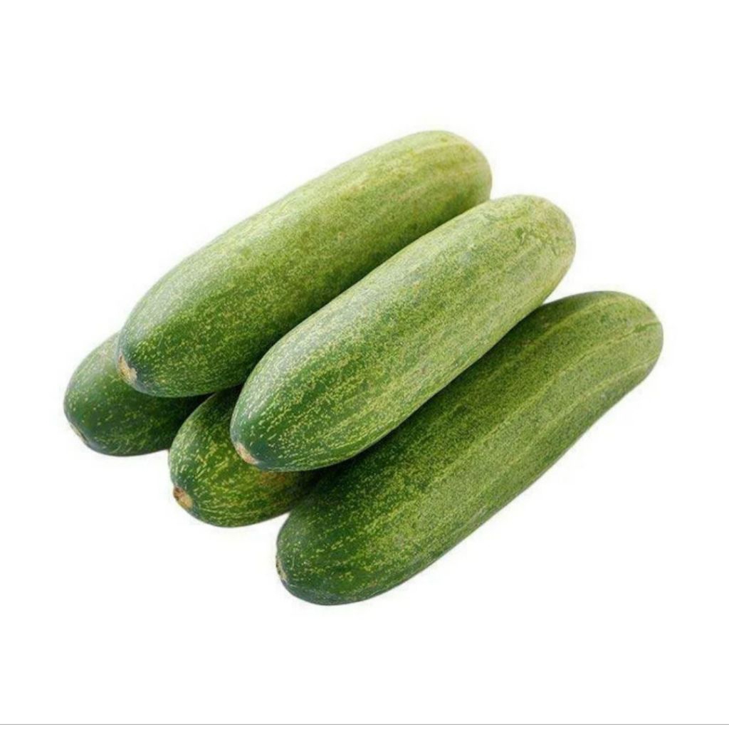 Jual Timun / Ketimun 500 gr fresh | Shopee Indonesia