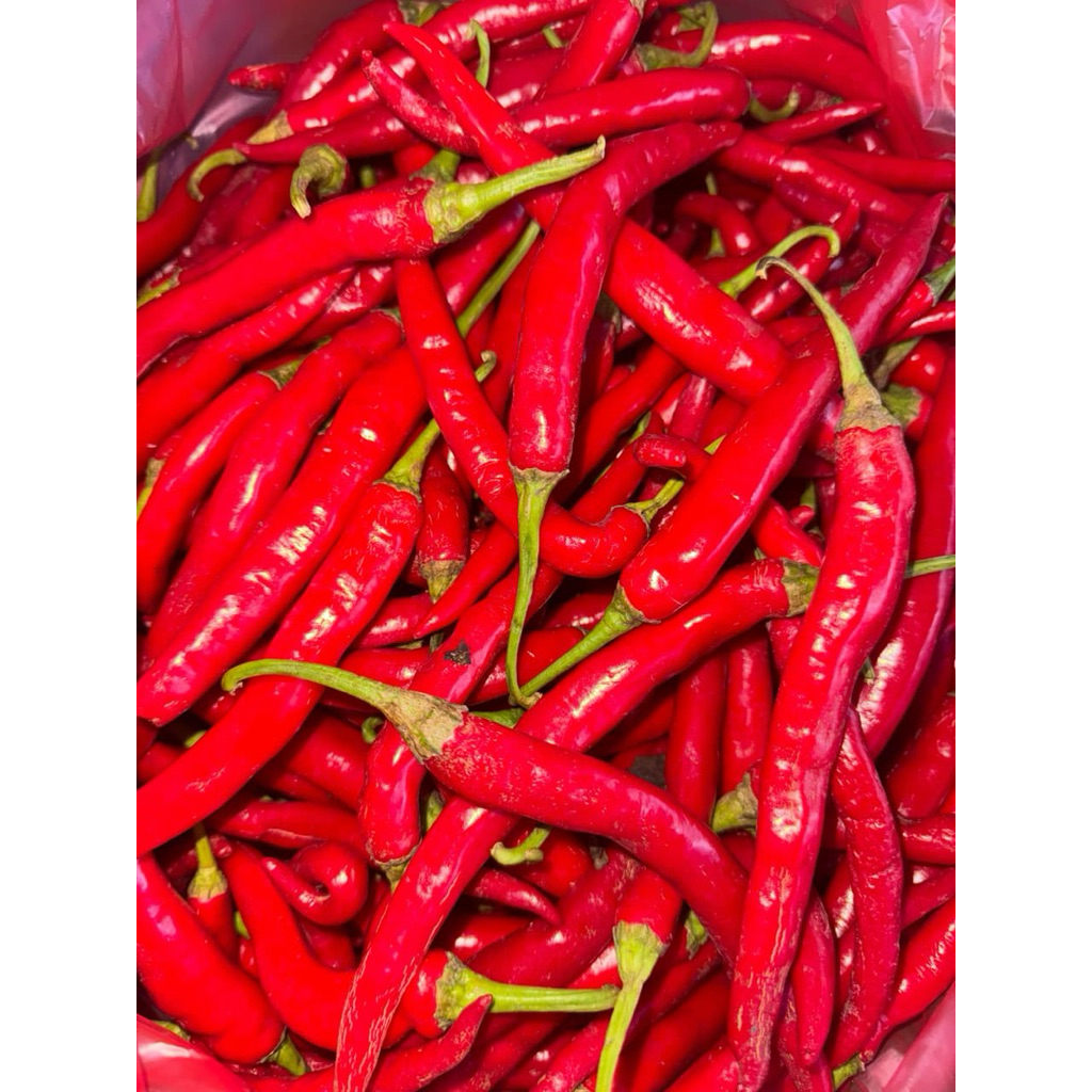 Jual Cabe Merah Besar TW Murah Fresh | Shopee Indonesia