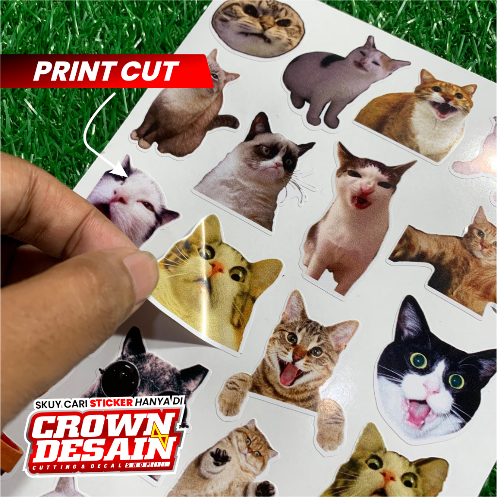 Jual (100 PCS)Stiker Ekspresi Kucing Lucu Aesthetic Stiker Cat/Kucing ...