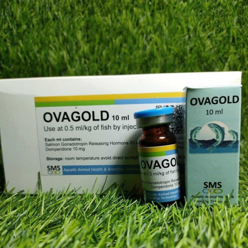 Jual OVAGOLD 10m | Shopee Indonesia