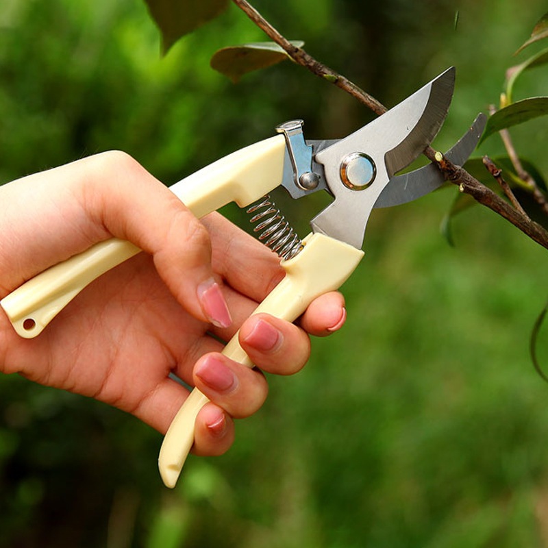 Jual CTSHOP1-Gunting Dahan, Ranting Tanaman - Pruning Shears / Scissors ...