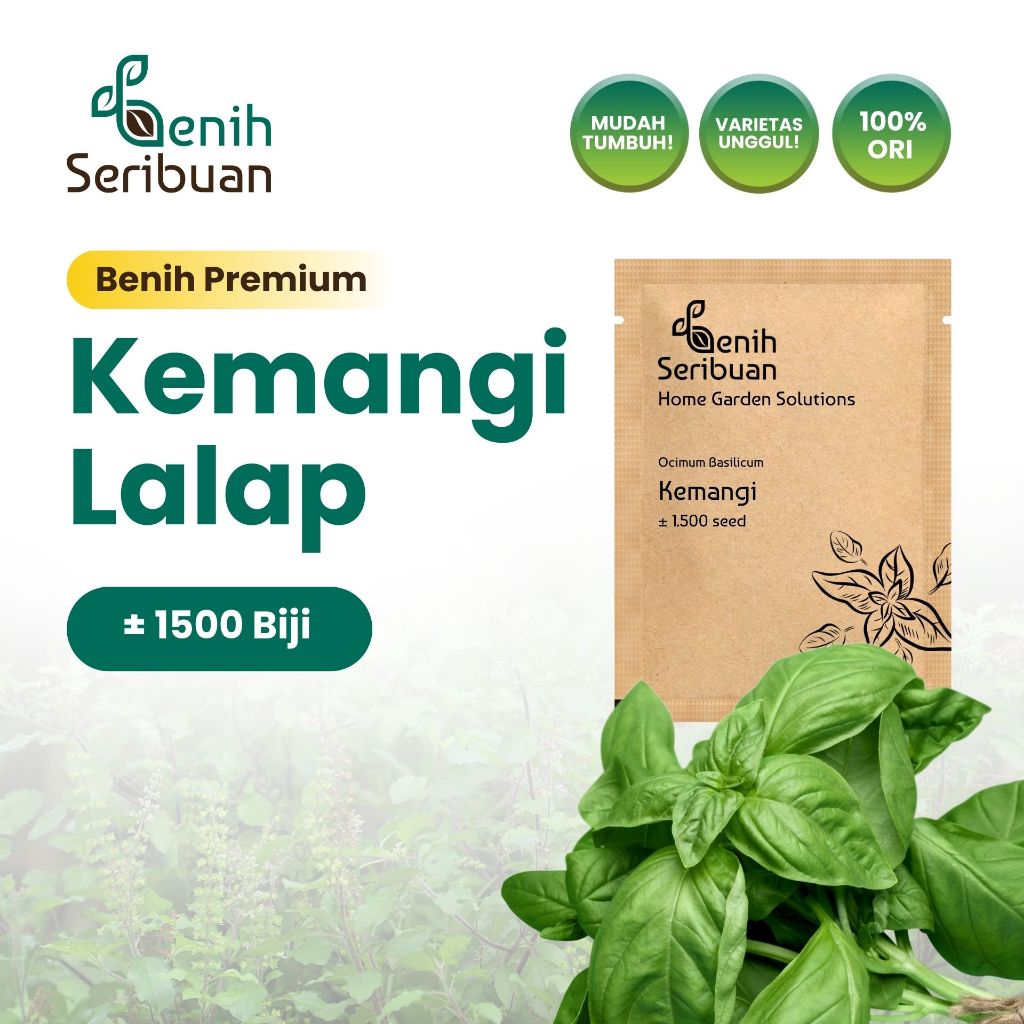 Benih Seribuan - Benih Sayuran Kemangi Unggul