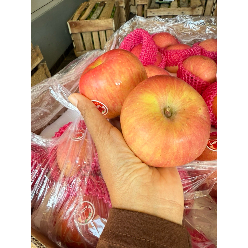 Jual Apel fuji import 1kg isi 7-9 bijian | Shopee Indonesia