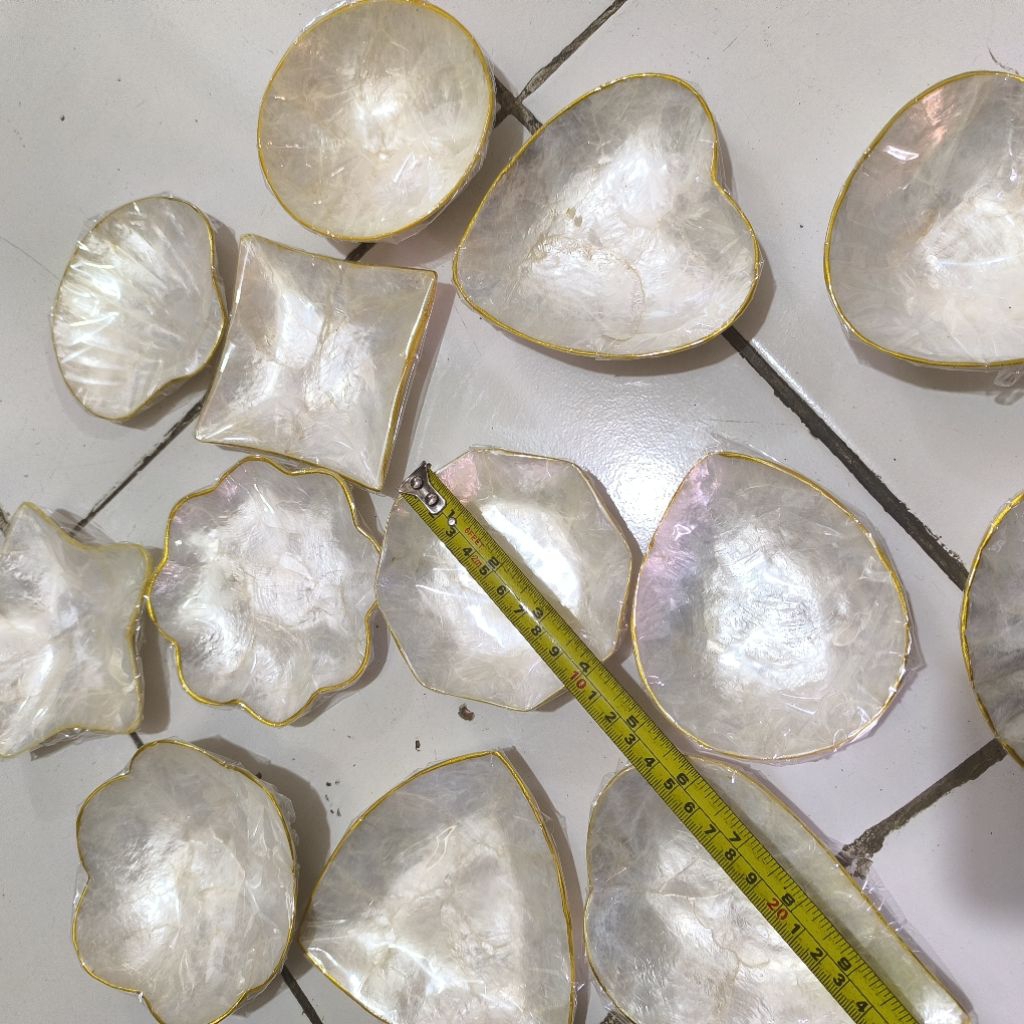 Jual mini plate shell white piring kerang mini putih | Shopee Indonesia