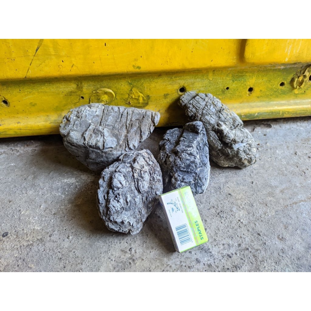Jual batu turly aquascape grade A 1kg | Shopee Indonesia