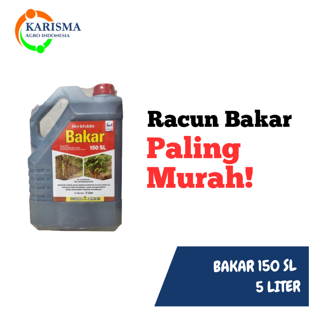 Jual BAKAR 150 SL Obat Rumput Basmi Rumput Liar dan Ilalang - 5 LITER ...