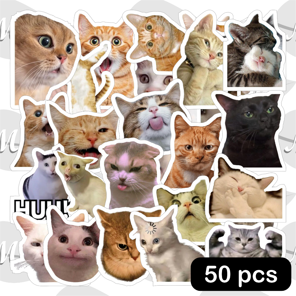 Jual 50 pcs Sticker Meme Kucing Aesthetic Stiker Setiker Pack Vinyl ...