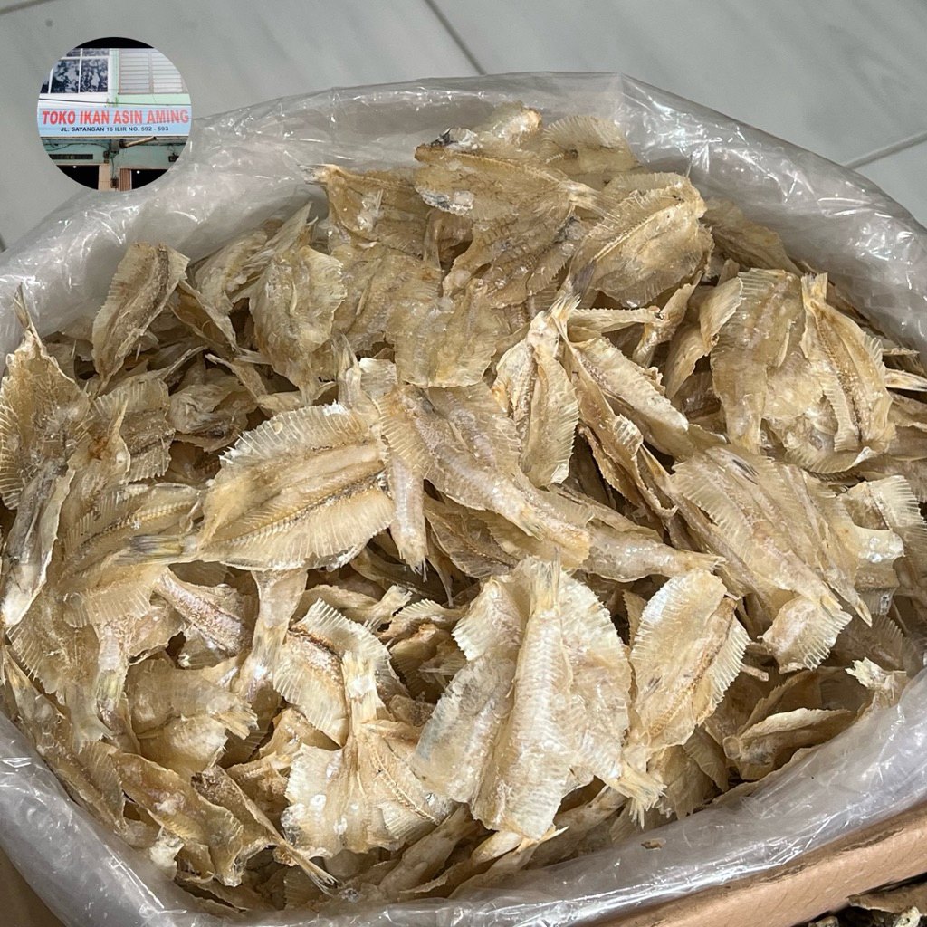 Jual Ikan Asin Pakang (Asin) | Shopee Indonesia