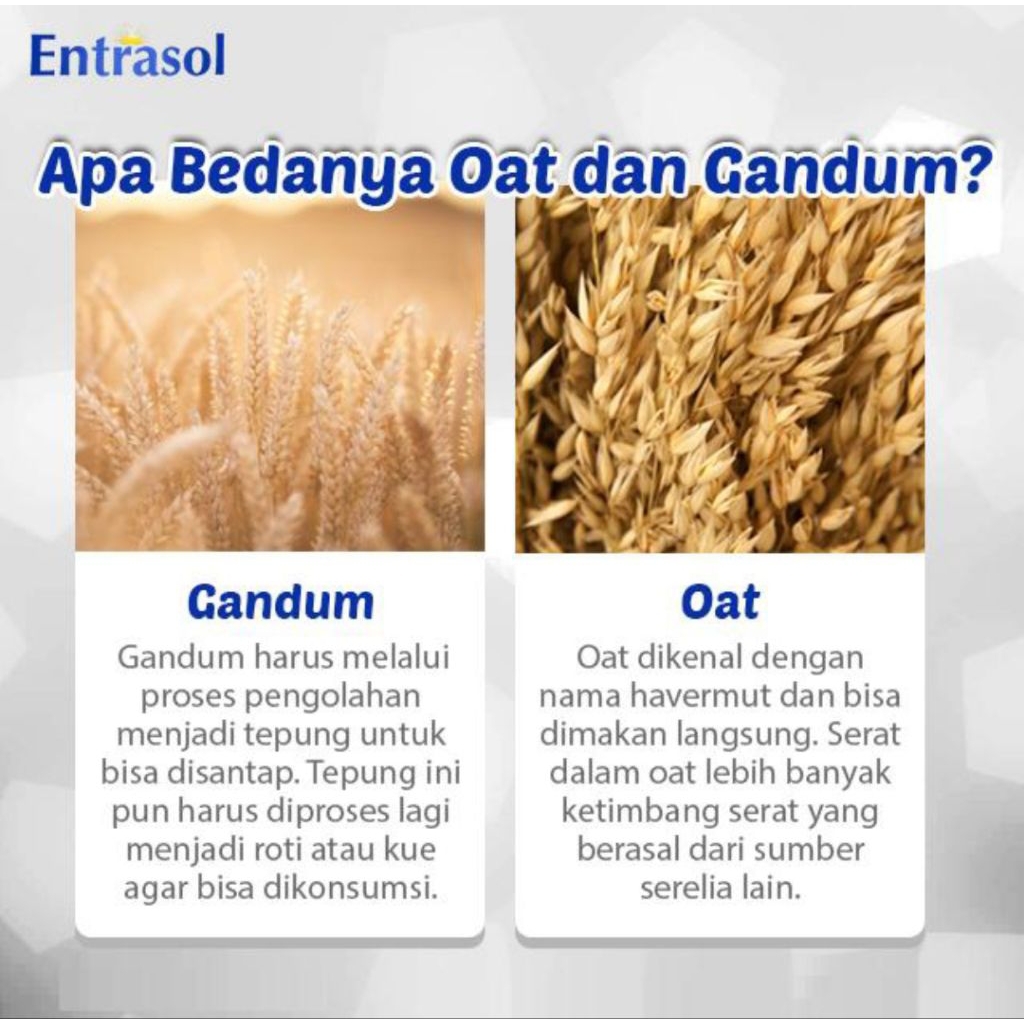 Jual Entrasol Multigrain Oatmeal 600g | Shopee Indonesia