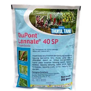 BBWlar bilan uy qurilishi video