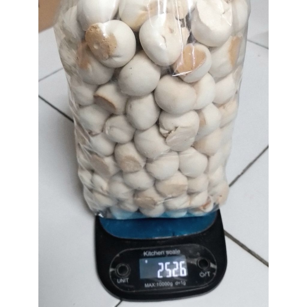 Jual Mino / Mini Nopia rasa Gula Jawa (2,5 Kg) | Shopee Indonesia
