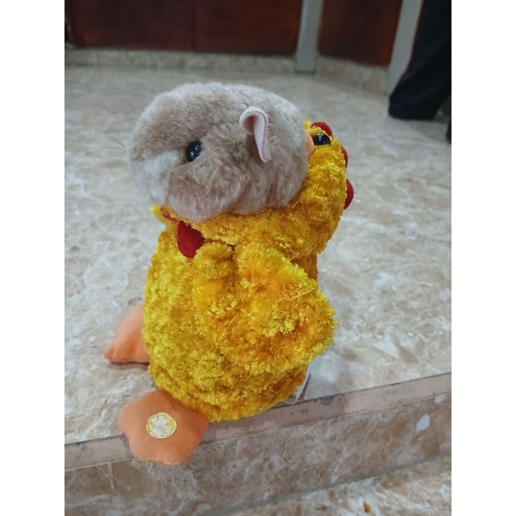 Jual animatornic kucing maskot ayam | Shopee Indonesia