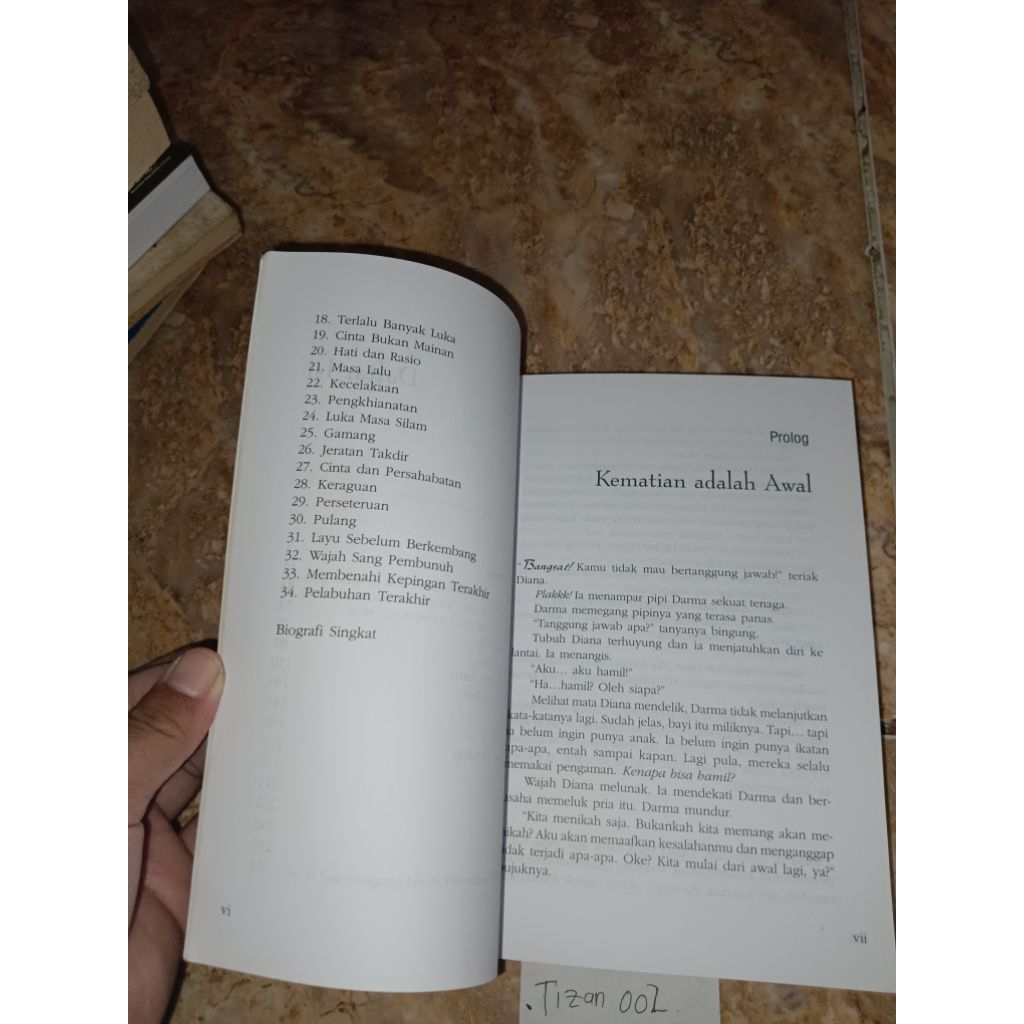 Jual Buku Di bawah Temaram Jakarta by Agnes Jesica | Shopee Indonesia