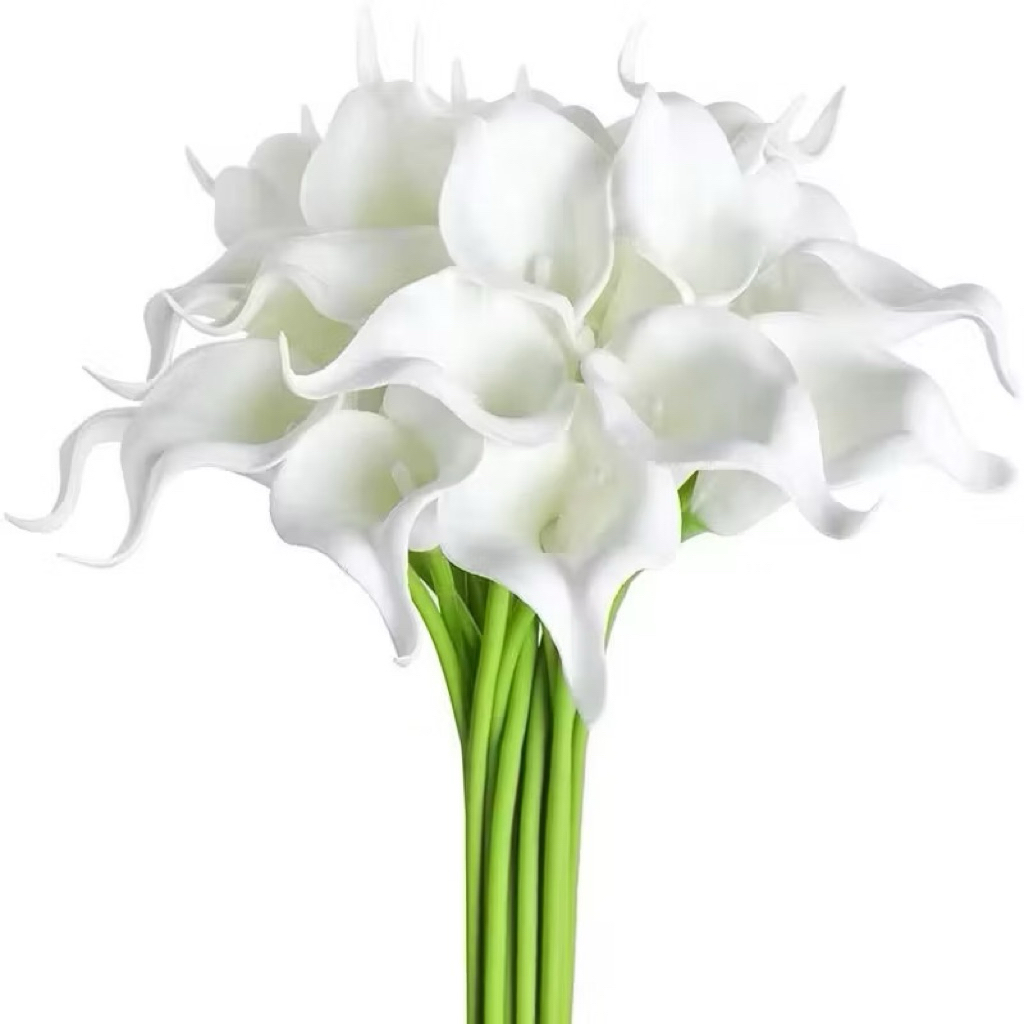 Jual Bunga Calla Lily Terlengkap & Harga Terbaru Juni 2026 | Shopee ...