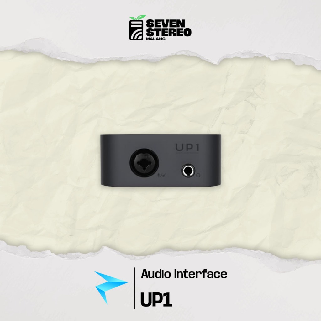 Jual Platane UP Series UP1 & UP2 – Audio Interface Portable 32Bit ...