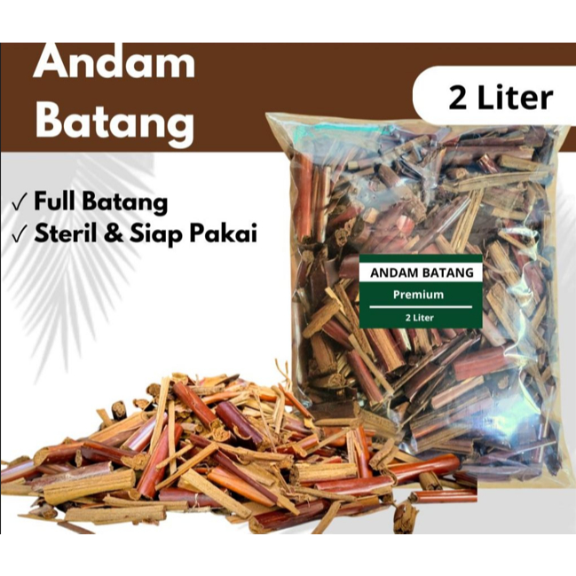 Jual Infarm Florist - 2 Liter Andam Batang Humus Batang Cacah Media ...