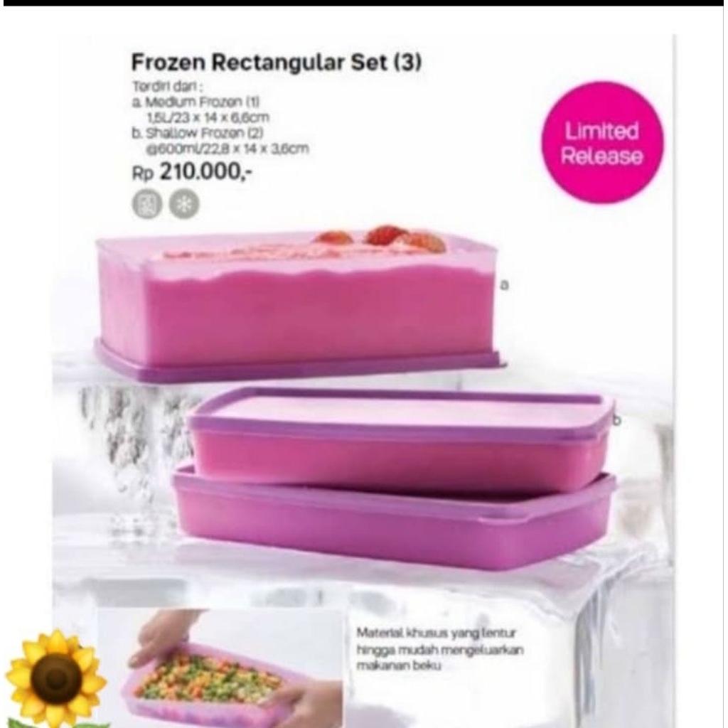 Jual Tupperware Frozen Rectangular ecer per pcs | Shopee Indonesia