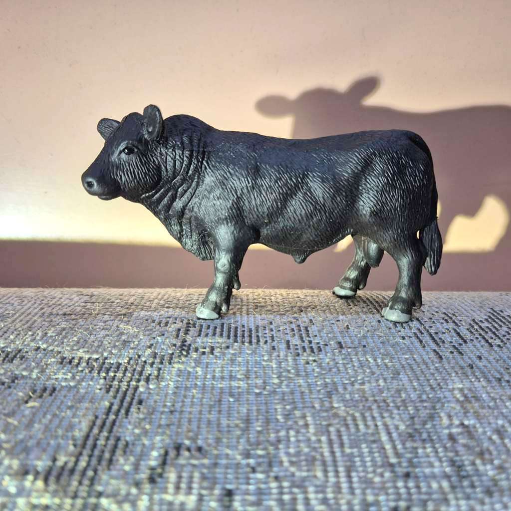 Jual Figur Hewan Angus Beef Sapi Simmental Jantan hitam dan belang ...