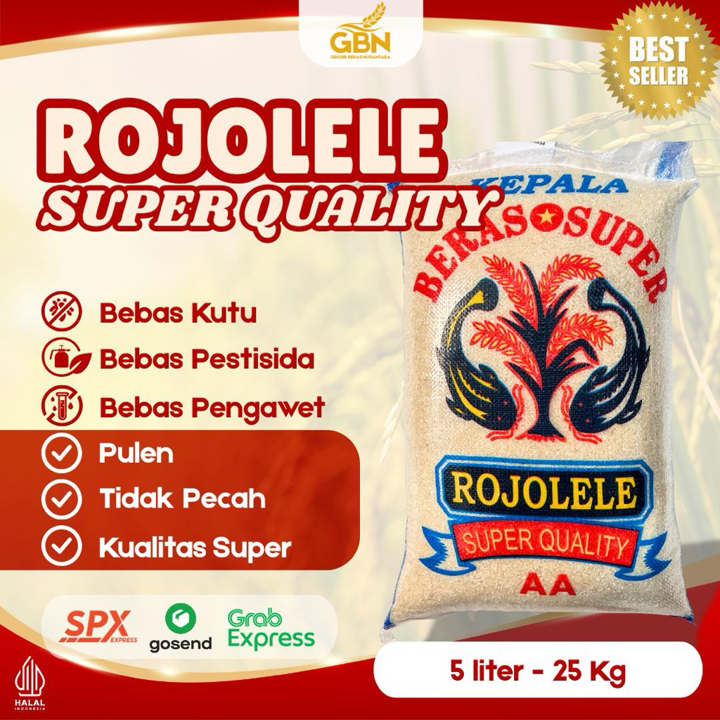 Jual BERAS ROJOLELE MURAH SUPER - BERAS PULEN, TEXTURE BERAS HALUS ...