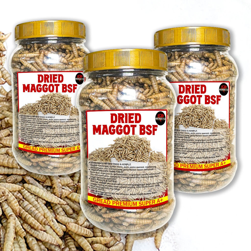 Jual BERRITZ Maggot Kering Bsf Gread Super 1KG Pakan ikan,Reptil,kura ...