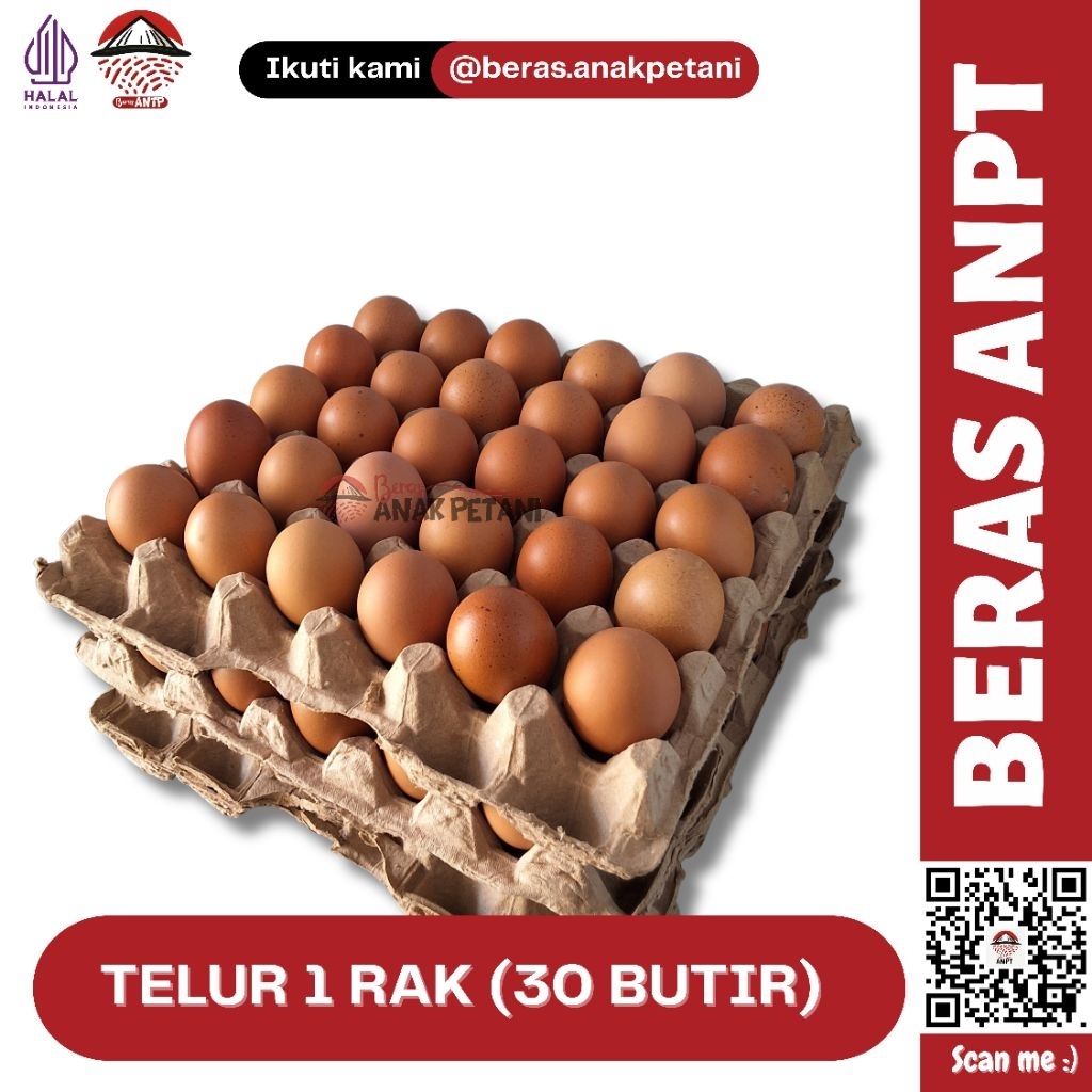 Jual TELUR AYAM PER RAK ISI 30 BUTIR | Shopee Indonesia