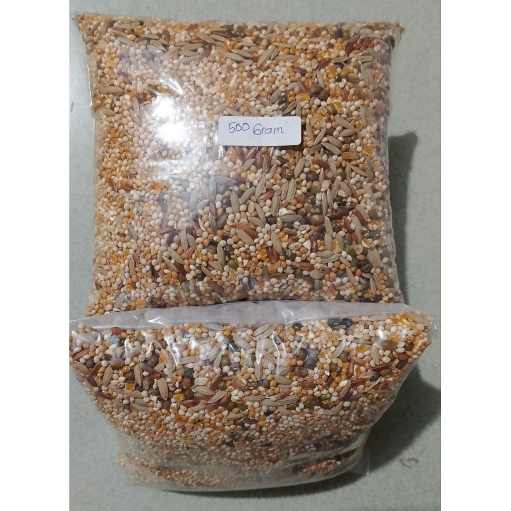 Jual Racikan Pakan Premium Tekukur / Derkuku / Puter 500 Gr Jagung ...