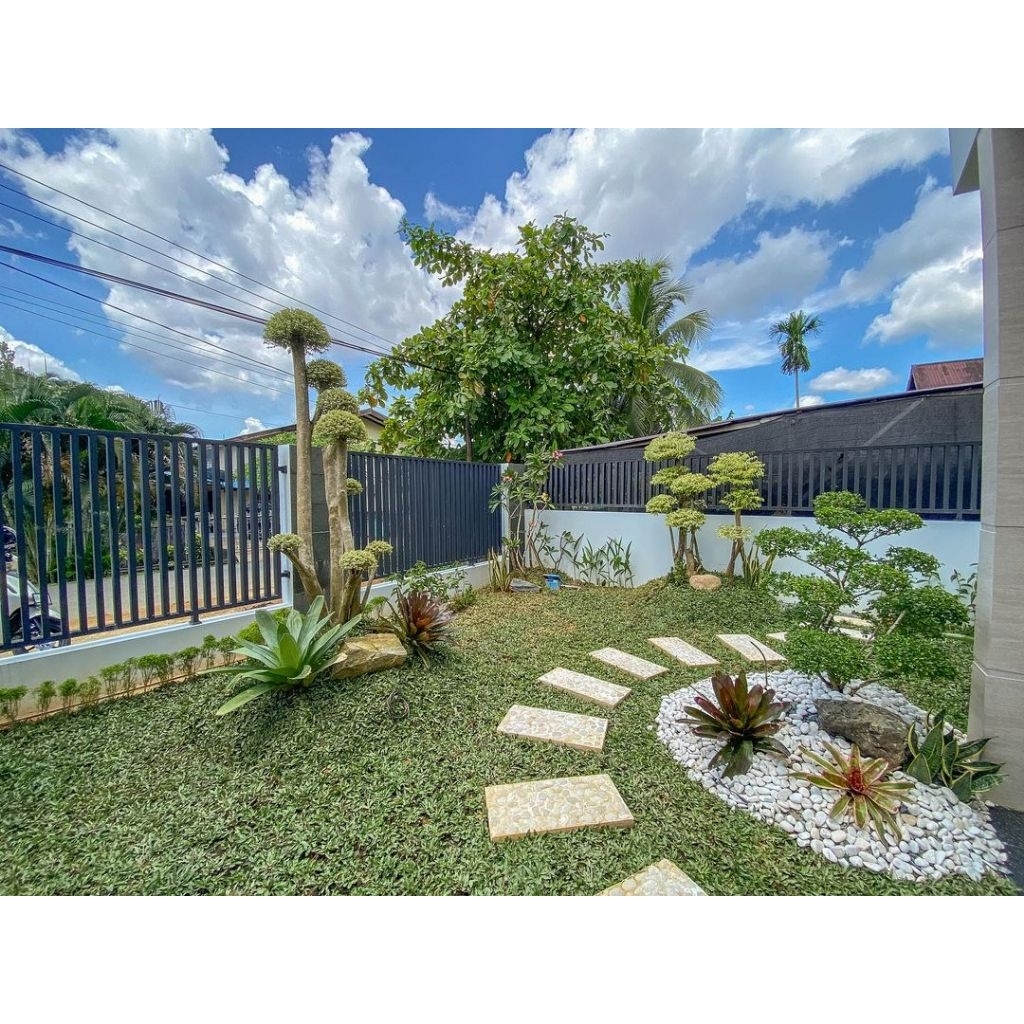 Jual PEMBUATAN TAMAN RUMPUT, REKOMENDASI BATU KORAL | Shopee Indonesia