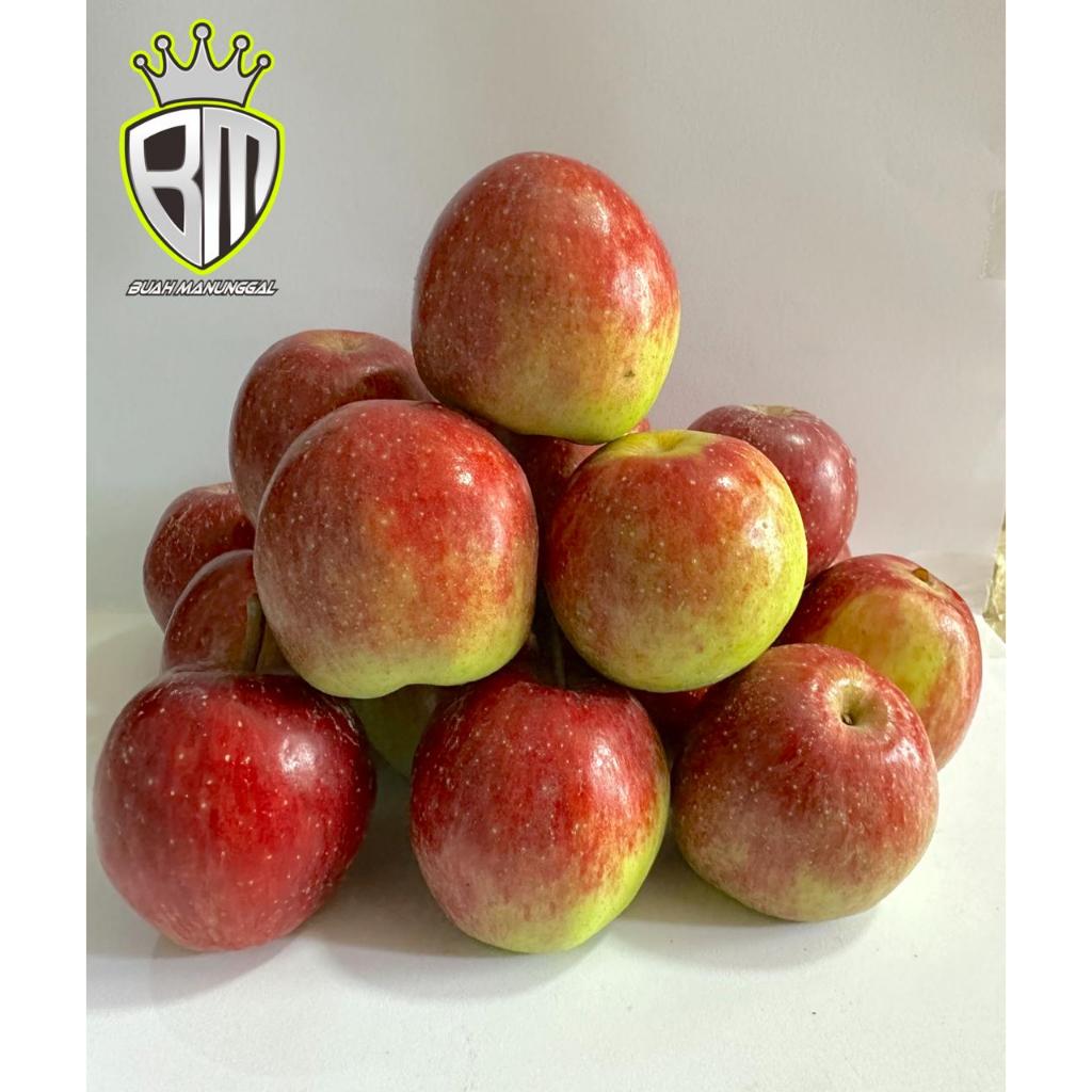 Jual Apel Ana Mini 1kg/Apel Ana Chery/Apel Ana Batu/Apel oleh-oleh khas ...