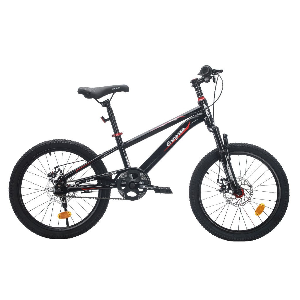 Jual Sepeda Anak MTB 20' Evergreen Ranger 520 | Shopee Indonesia