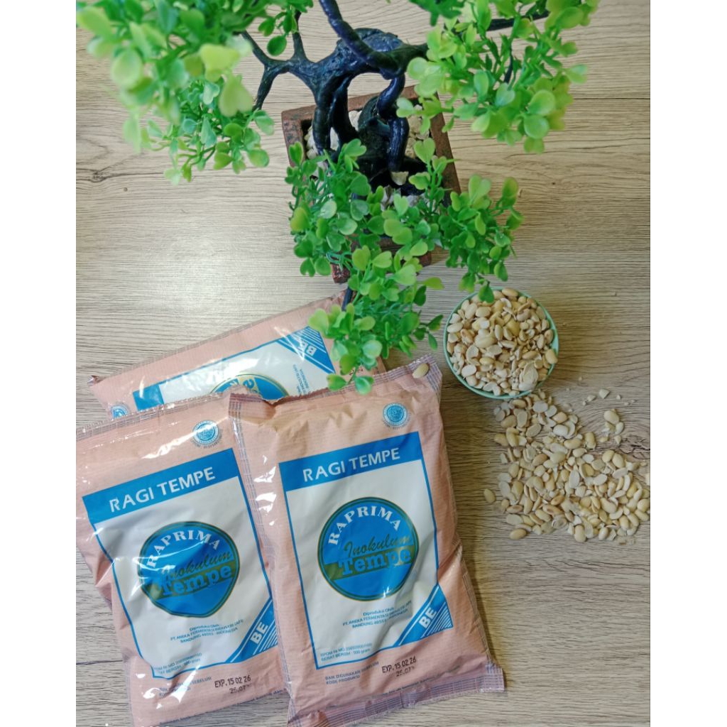 Jual GROSIR!! (Beli 5 cuma 15.580/pcs) ragi tempe merk raprima 500 gram ...