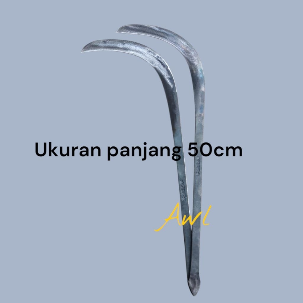 kaet kelapa atau arit kelapa