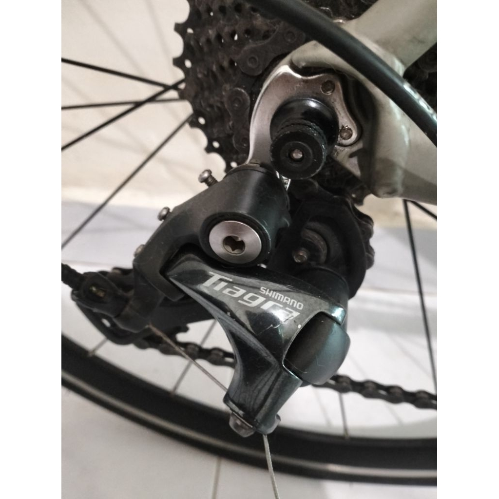 Jual sepeda roadbike element curved | Shopee Indonesia