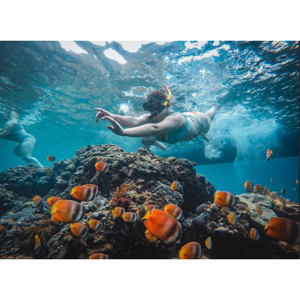 Jual FREE SNORKELING Tiket Fast Boat Antara Sanur Dan Nusa Penida 