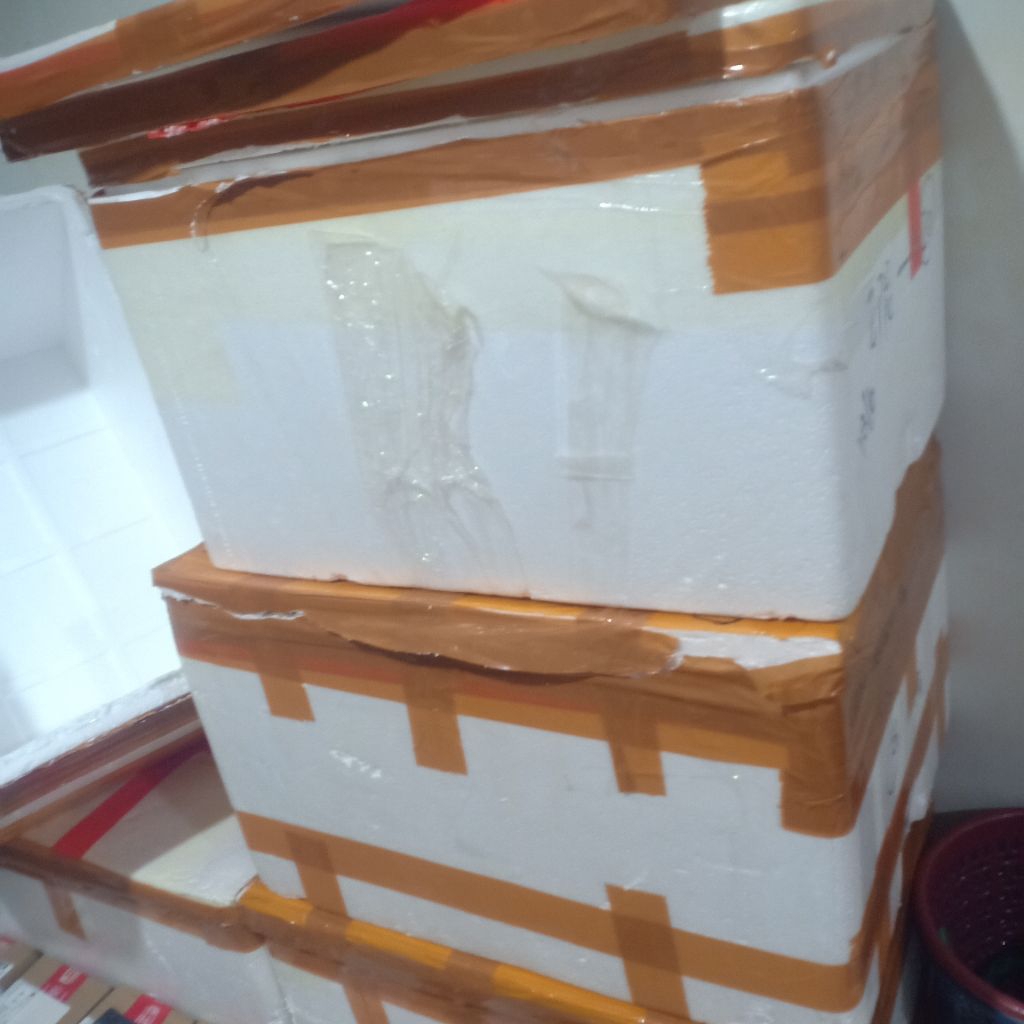 Jual Styrofoam Box AG Low / DinarBox / Box container AG Cargo Box bekas ...