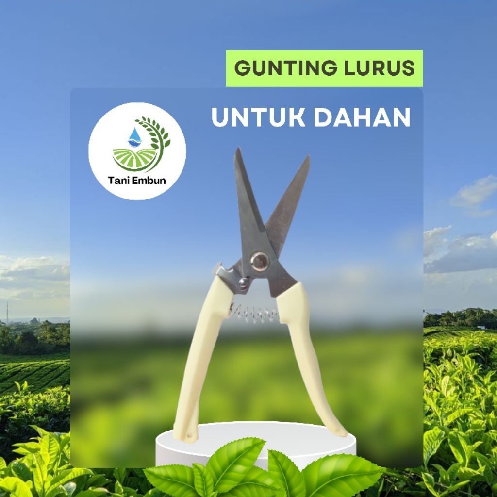 Jual GUNTING LURUS PANGKAS DAHAN/RANTING SUPER TAJAM PREMIUM | Shopee ...