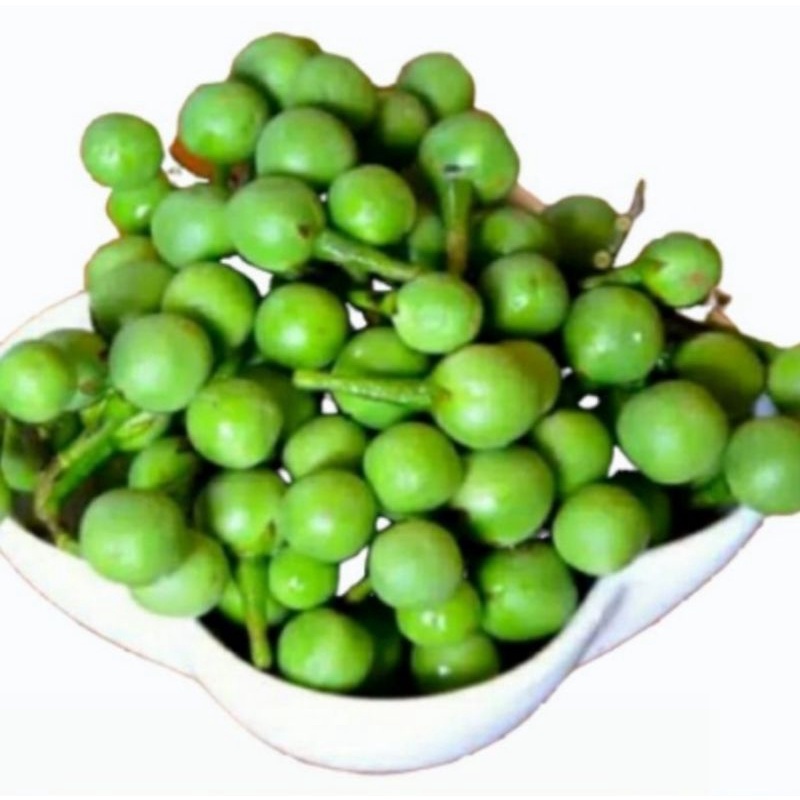 Jual Buah Rimbang / Cepokak / Terung Kokak Pipit 1kg – Segar, Khas ...